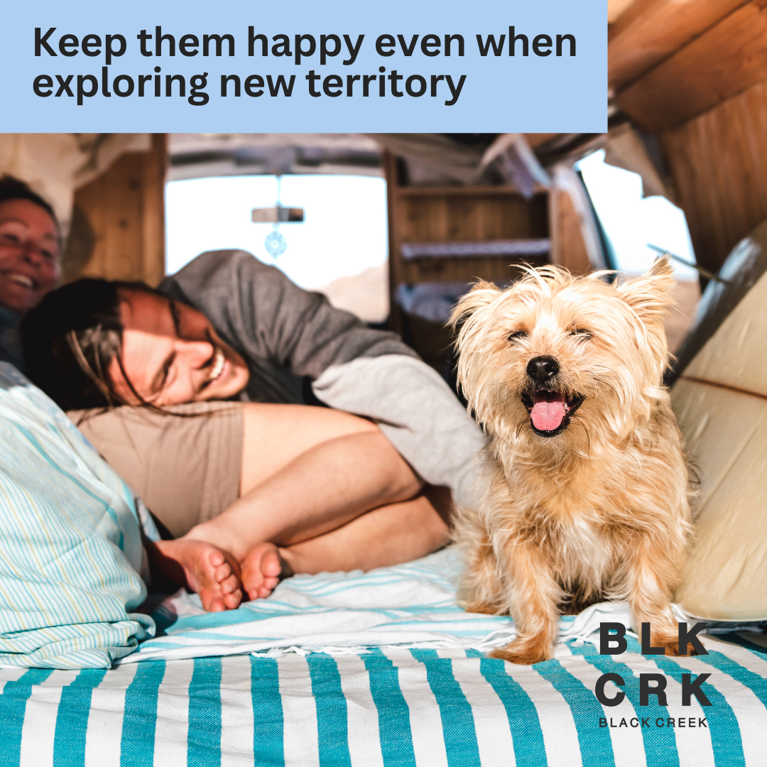 A happy couple snuggles in a camper with a very happy dog. Caption sayas "keep them happy even when exploring new territory. The Black Creek CBD logo is at the bottom.
