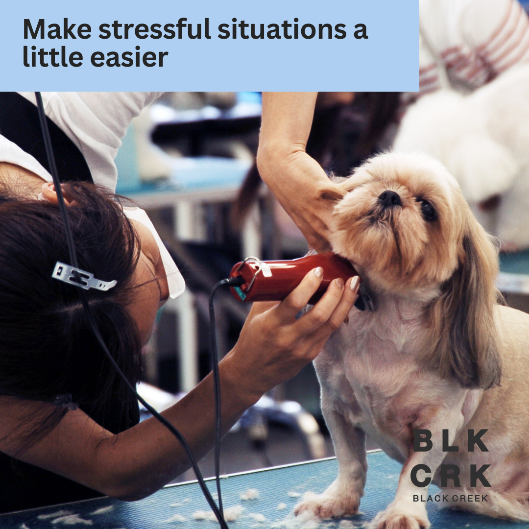 A patient pup is getting a haircut. Caption says "make stressful situations a little easier." The Black Creek CBD logo is at the bottom.