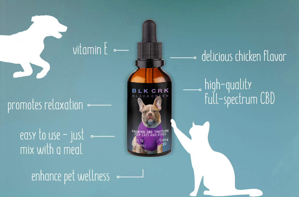 This is an infographic of the Black Creek CBD Pet Tincture on a teal background. The captions say vitamin E, promote relaxation, easy to use - just mix with a meal, enhance pet wellness, delicious chicken flavor, high quality full spectrum CBD
