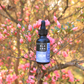 Black Creek CBD Calm Tincture sitting in a bush with bright pink flowers outside on a clear summer's day
